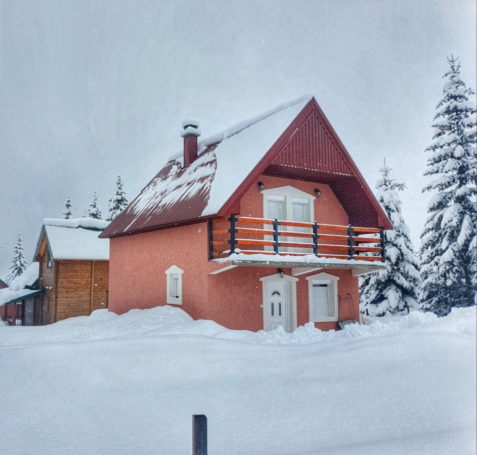 Apartments Kovacevic Mountain Beauty Žabljak Exteriör bild